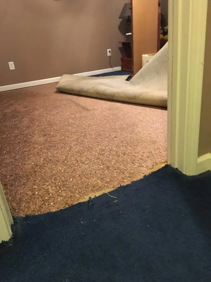 Carpet pad removal revealing water damage during Drying & Dehumidification in Lexington