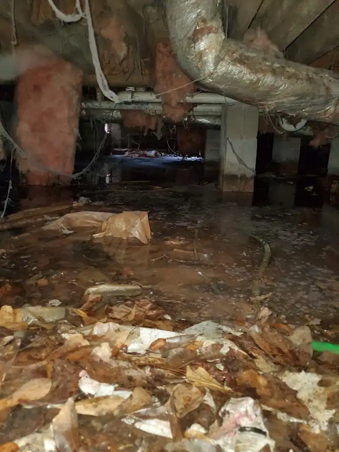 Crawl space flood assessment for Leak Detection & Repair in Lexington